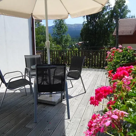 Ambra * شكلارسكا بوريبا